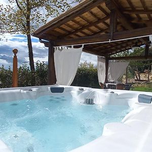 Domus Antiqua Bed & Breakfast